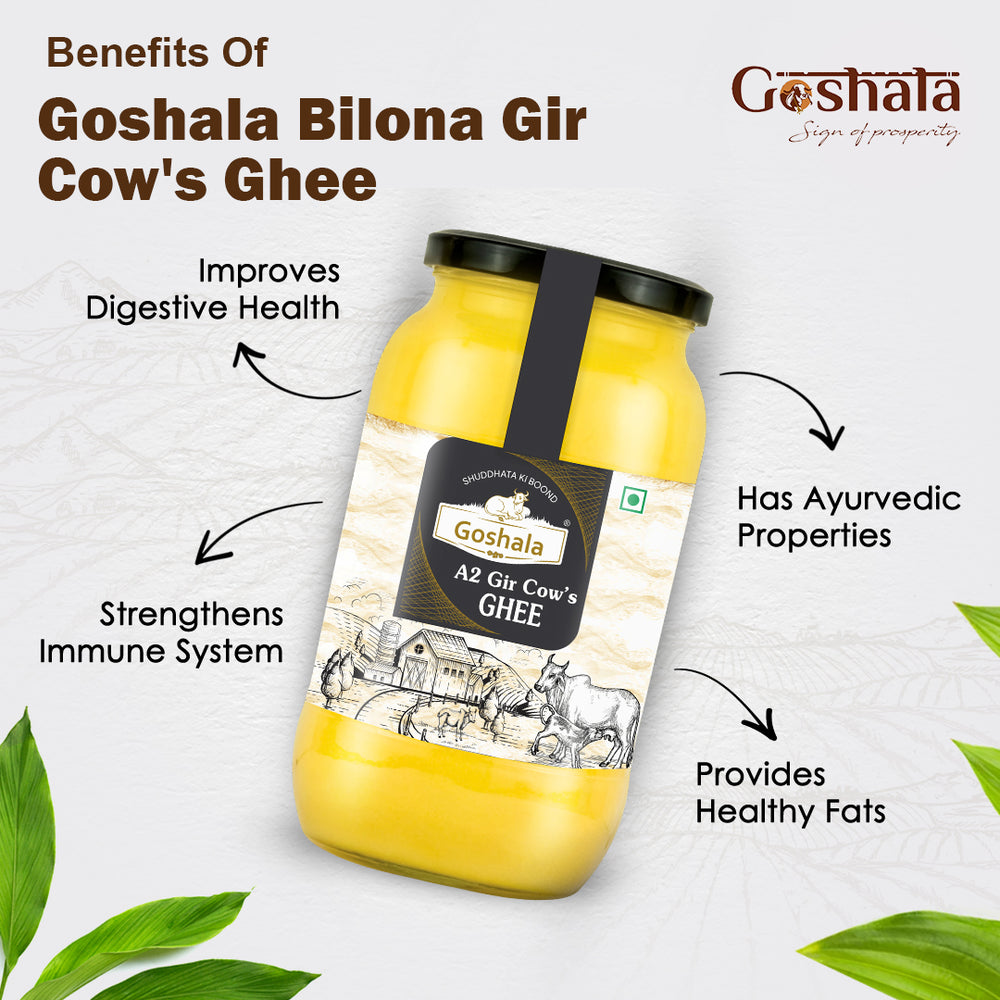 
                  
                    Goshala Bilona Gir Cow Ghee Jar Combo (Pack of 3)
                  
                